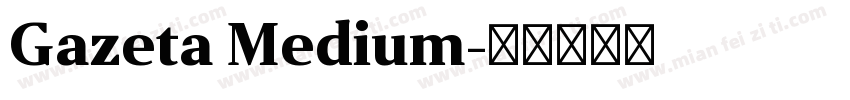 Gazeta Medium字体转换